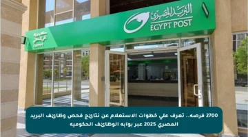 2700 فرصة.. تعرف على خطوات الاستعلام عن نتائج فحص وظائف البريد المصري 2025 عبر بوابة الوظائف الحكومية